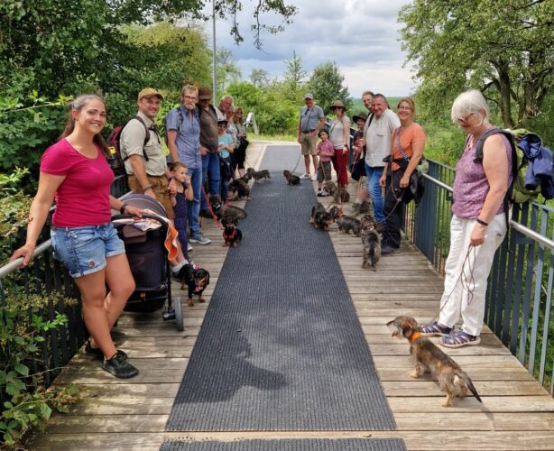 Sommerwanderung in Handthal - 4. August 2024